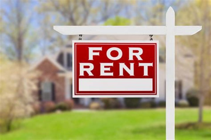 What is the phase out for rental losses?