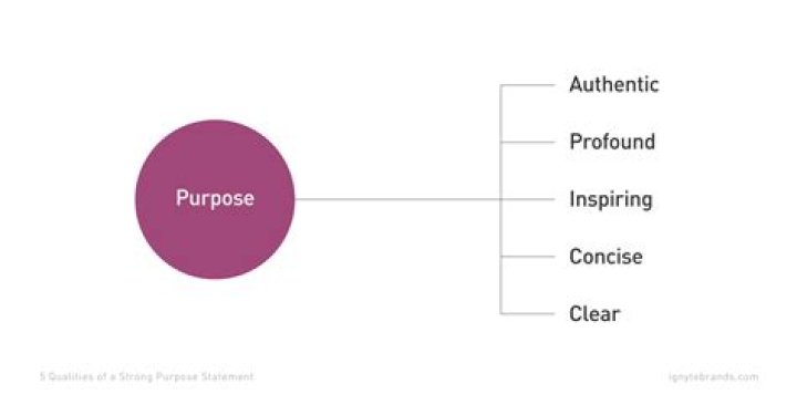 What is the purpose of a domestic LLC?