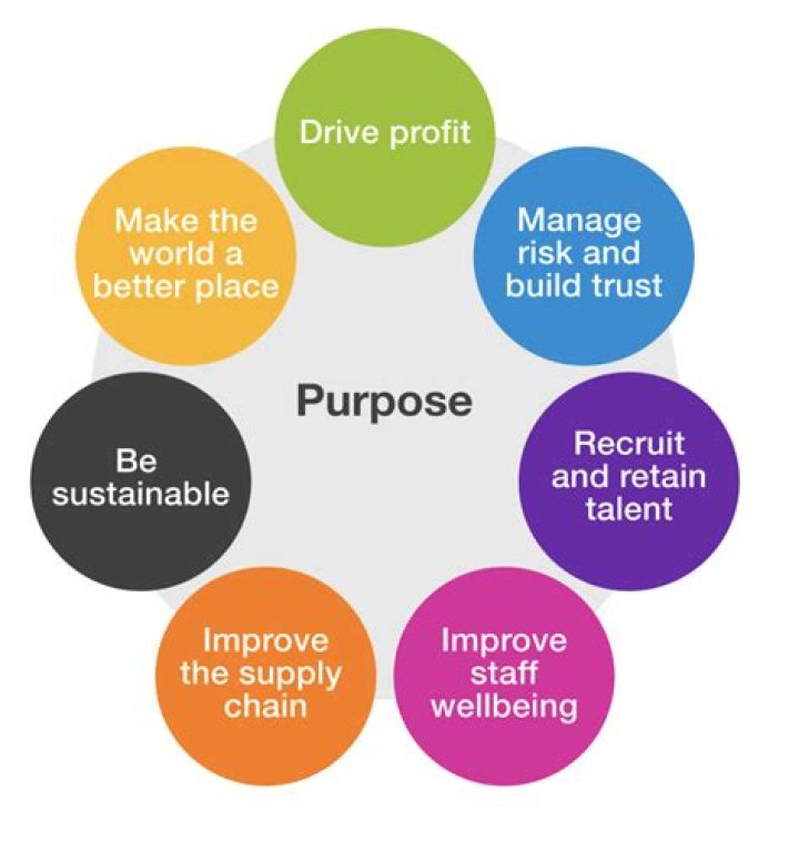 What is the purpose of profit?