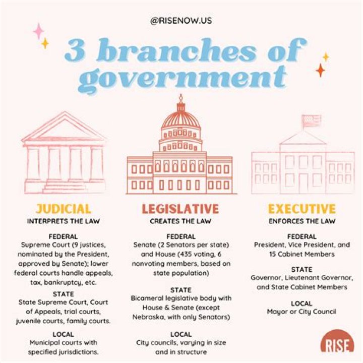What is the role of the government to the business firm?