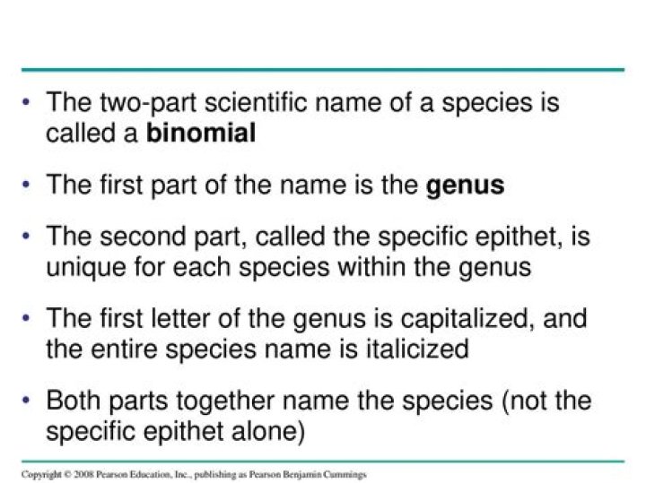 What is the second part of a scientific name?