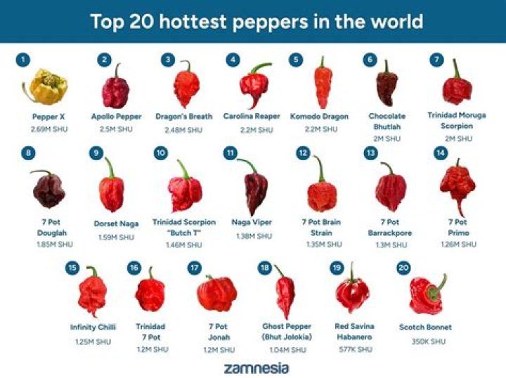 What is the spiciest thing in the world?