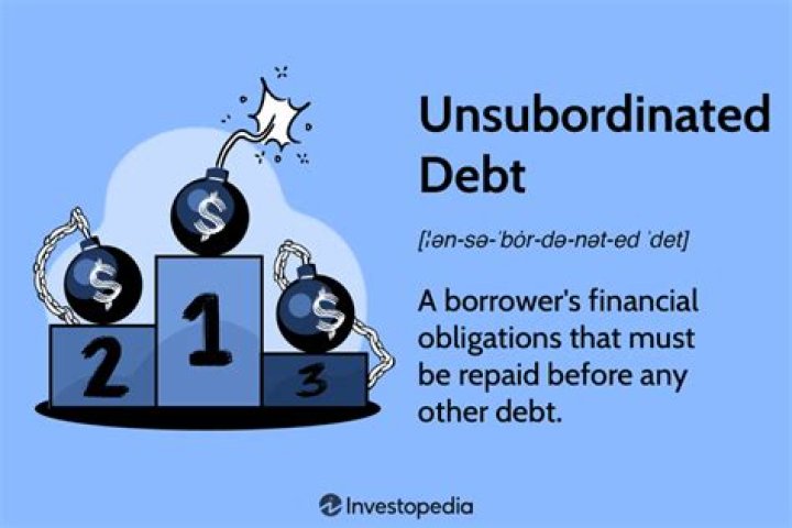 What is unsubordinated debt?