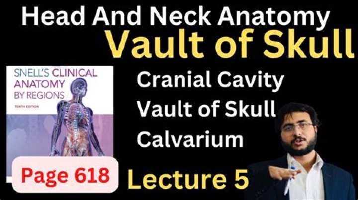 What is vault skull?