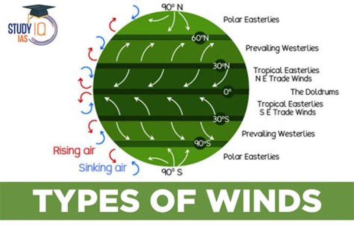 What is Webster's wind model?
