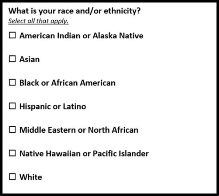 What is your ethnicity questionnaire?
