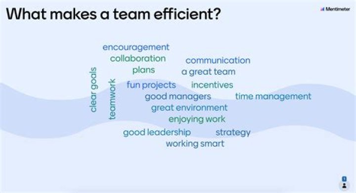 What makes an effective organization?