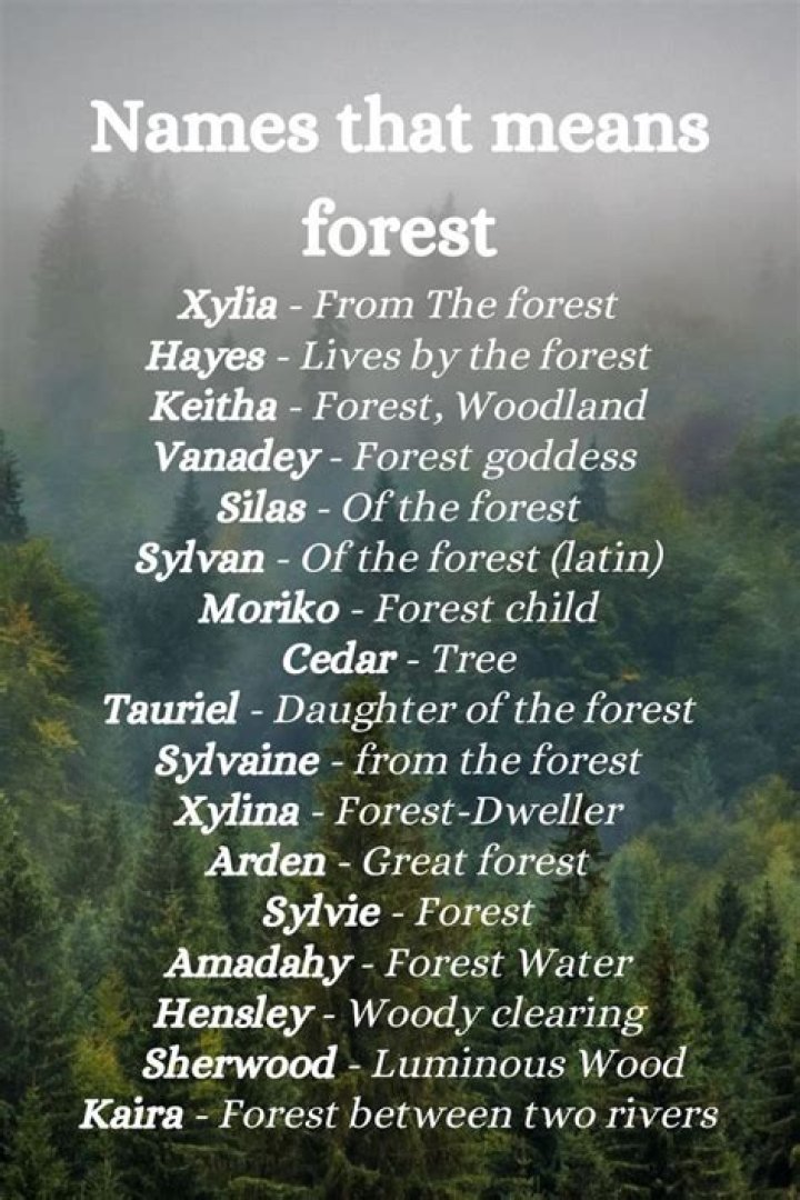 What names mean forest?
