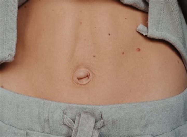 What organ is just above the belly button?