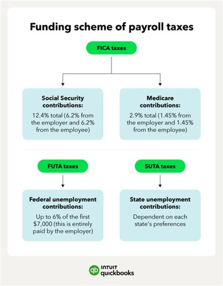 What payroll taxes are paid by both the employee and the employer?