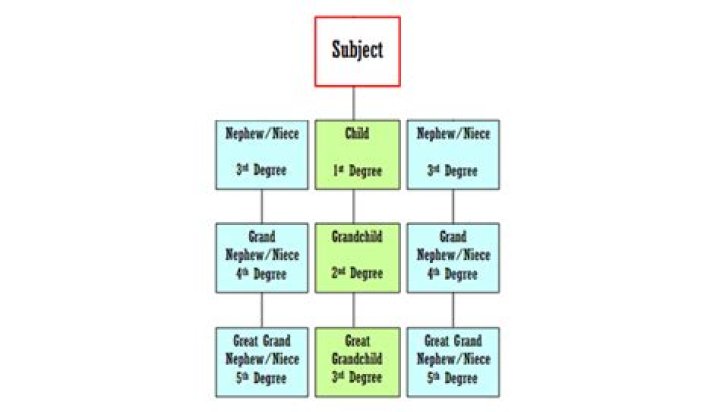 What percentage of the estate does the spouse get if there are no lineal descendants of decedent?