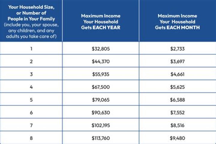 What percentage of your gross income goes to health insurance?