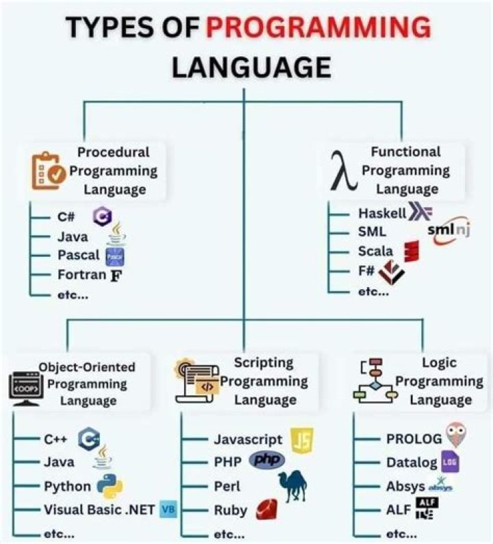 What programming language does Ford use?
