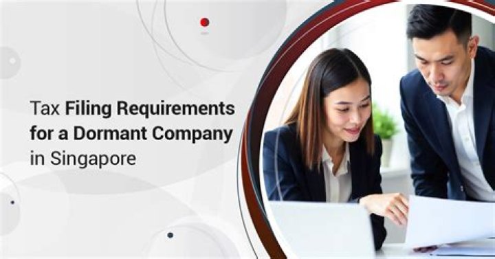 What qualifies as a dormant company?