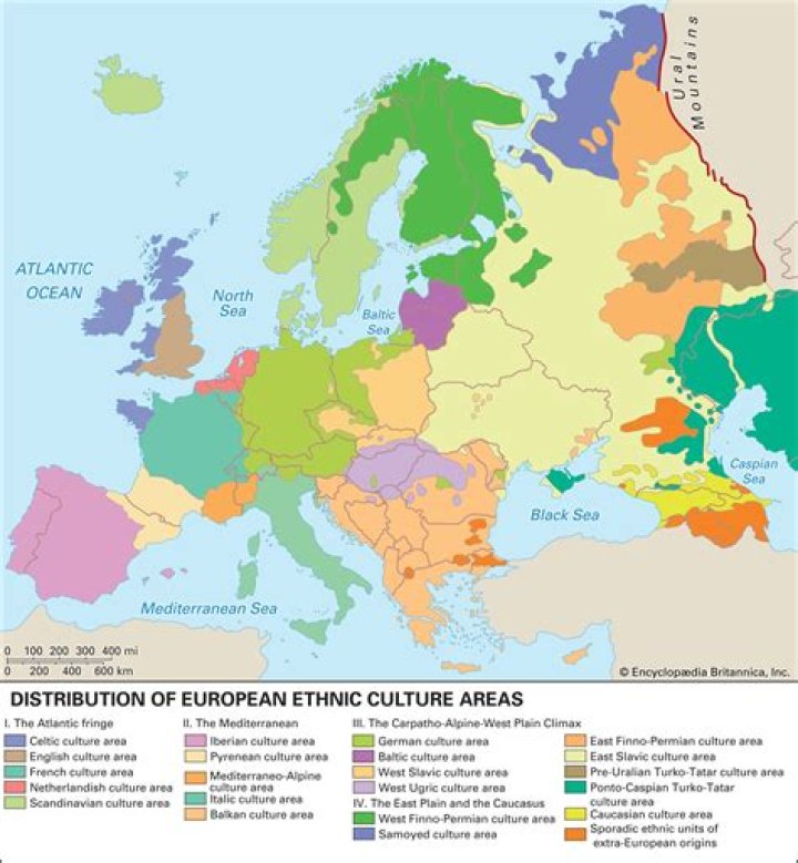 What race is Western European?