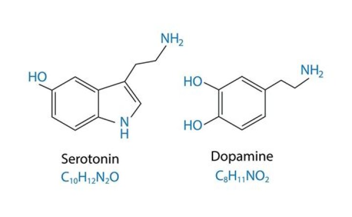What releases serotonin and dopamine?