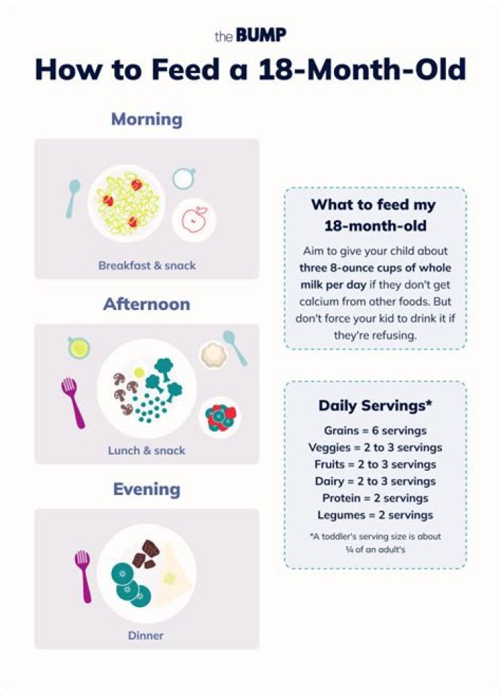 What should 18 month be doing?