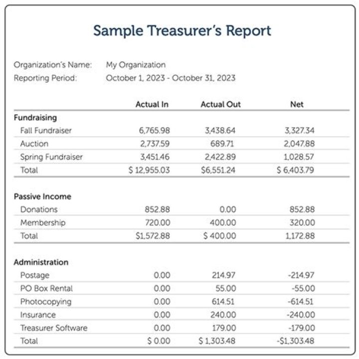 What should be included in a treasurer report?