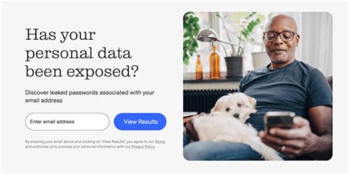 What should I do if I come across a scam website?