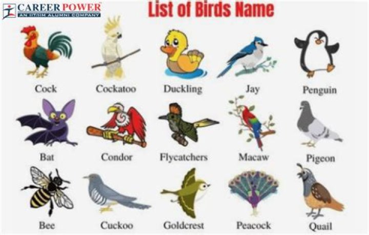 What should I name my invoices?