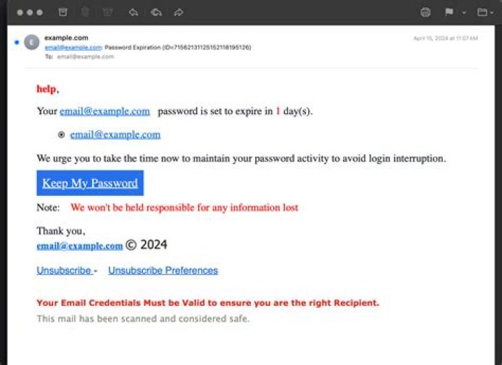 What should you do next if you know you received a phishing email?
