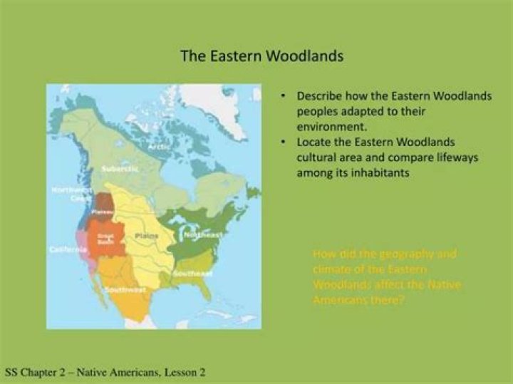 What technology did the Eastern woodlands have?