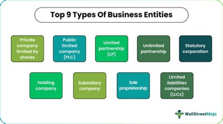 What type of business entity is a clothing line?