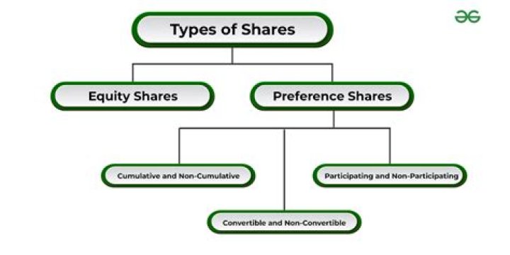 What type of shares do founders get?