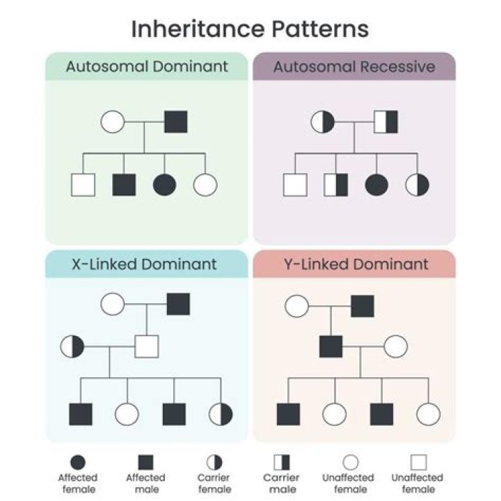 What type of tax is inheritance?