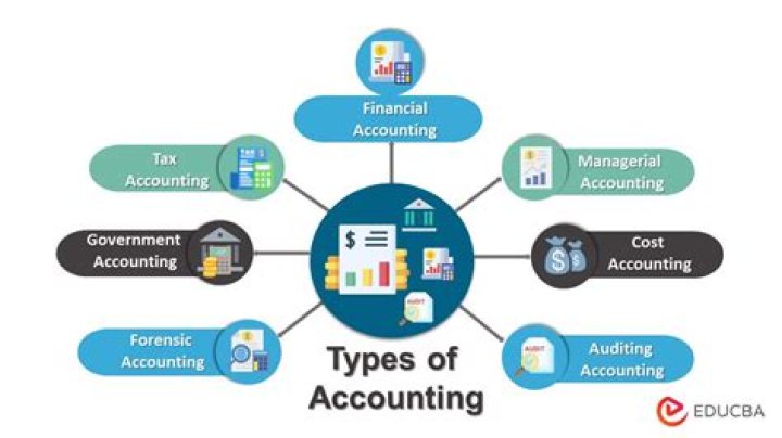 What types of firms use accountants?