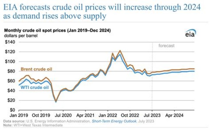 What was the price of oil in 2003?
