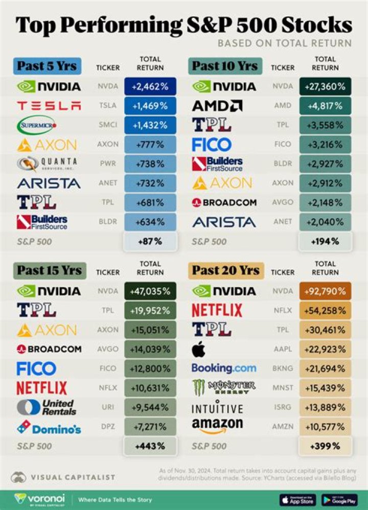 What were the best performing stocks in 2009?