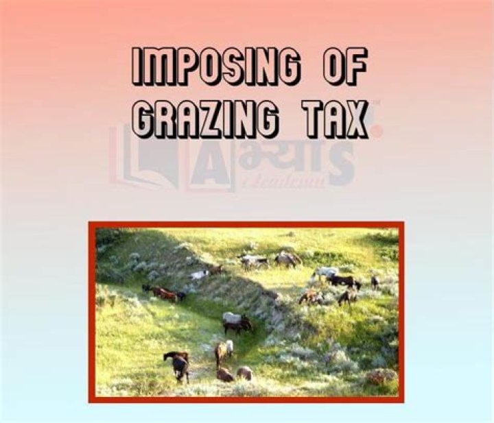 When was the grazing tax implemented?