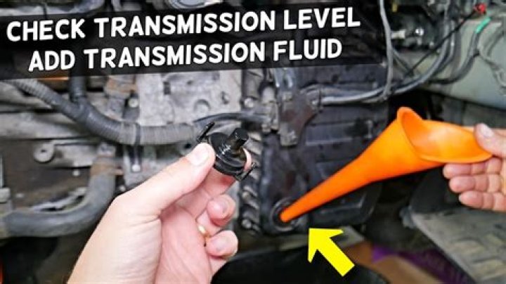 Where do I add transmission fluid?