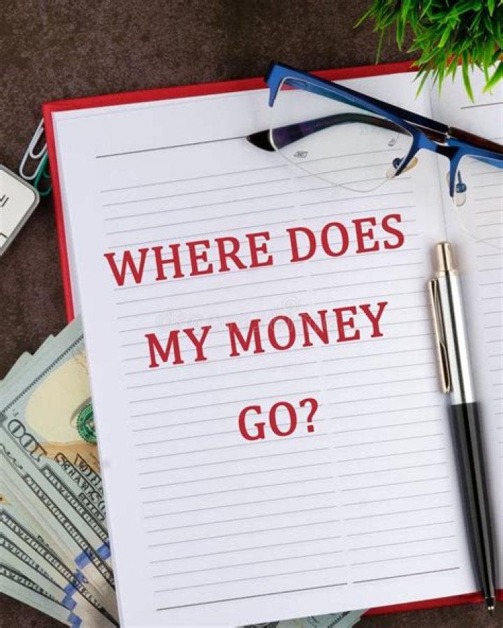 Where does my LLC money go?