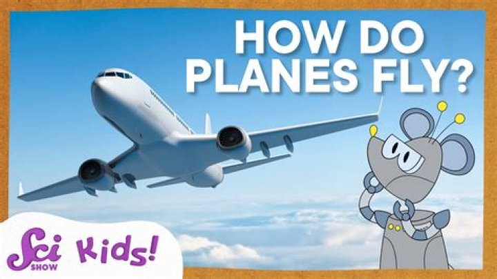 Where does pee go on airplanes?