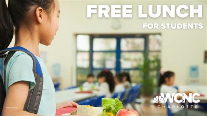 Where does the money for free school lunch come from?