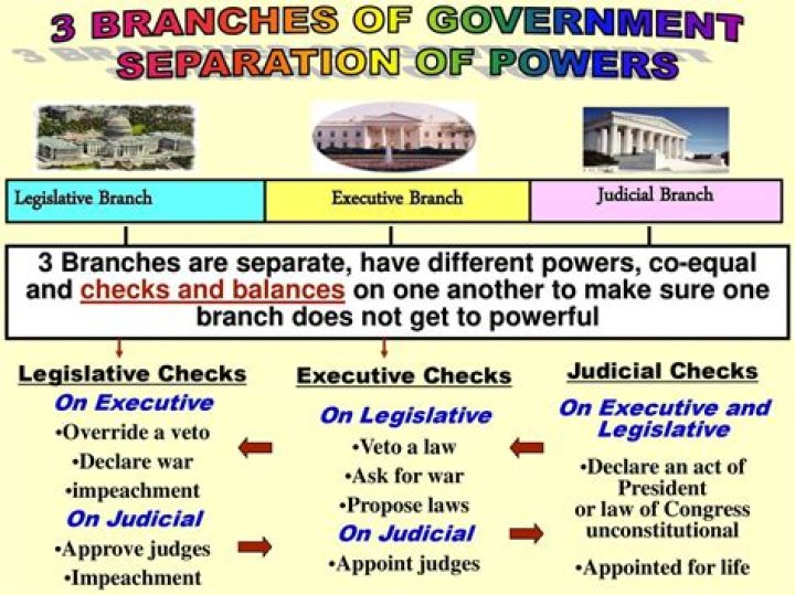 Which branch has the power to issue taxes?