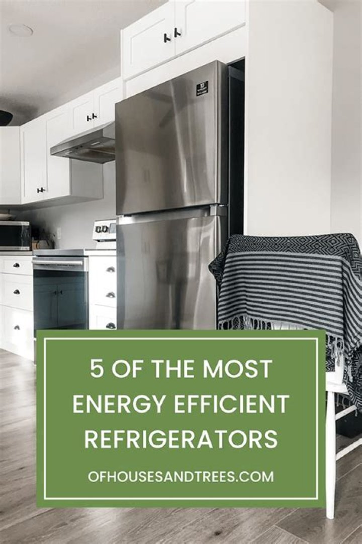 Which refrigerators are most energy-efficient?