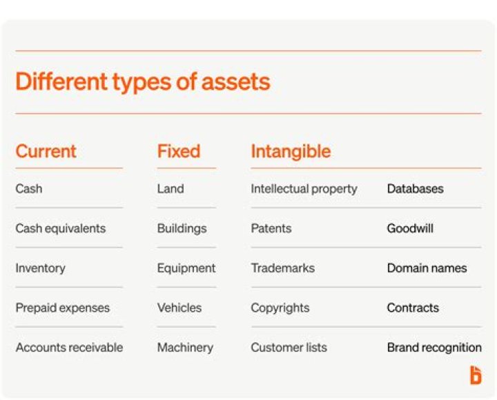 Which shows what assets a company owns on a specific date?