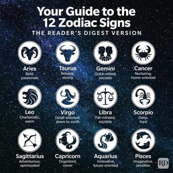 Which zodiac is the rebel?