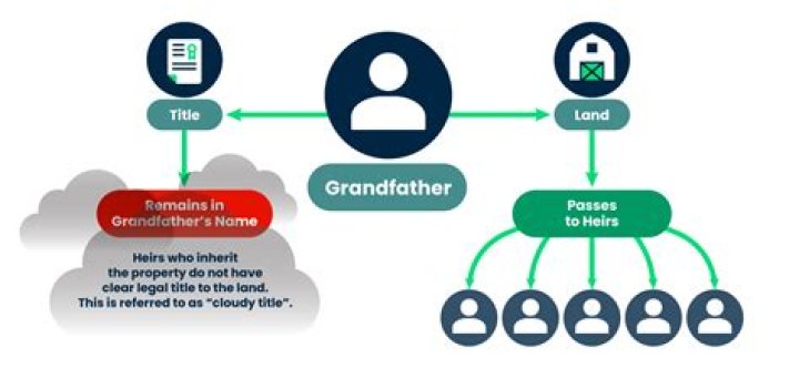 Who are the legal heirs of grandmother property?