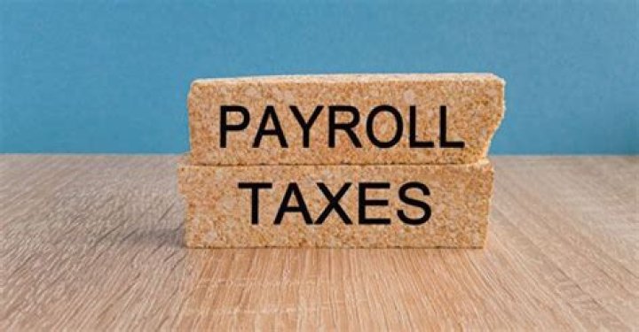Who is responsible for paying payroll taxes?
