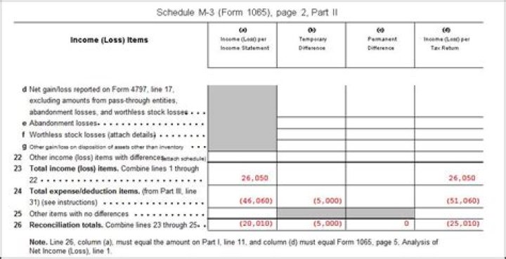 Who must file Schedule M 3 1065?
