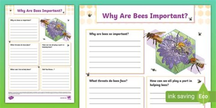 Why are bees trying to get into my house?