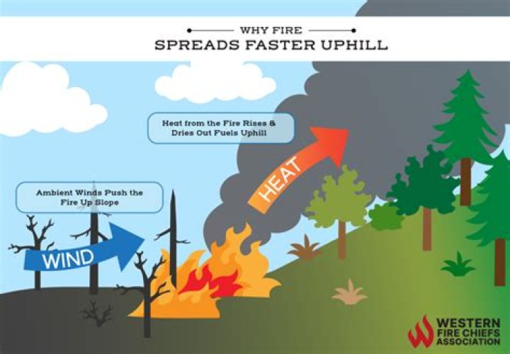 Why are fires so soothing?