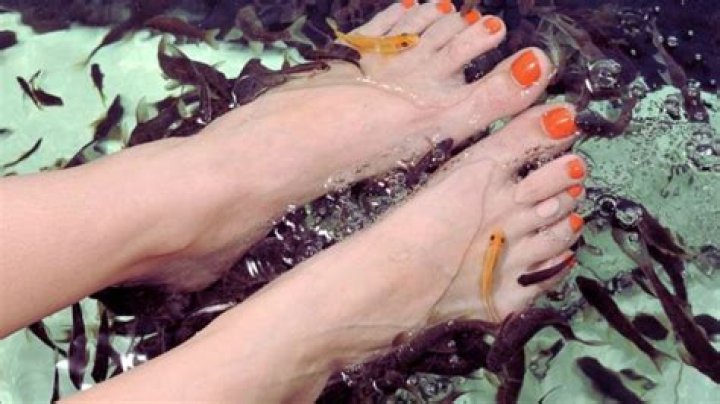 Why are fish pedicures illegal in the US?