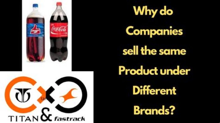 Why do companies sell different products?