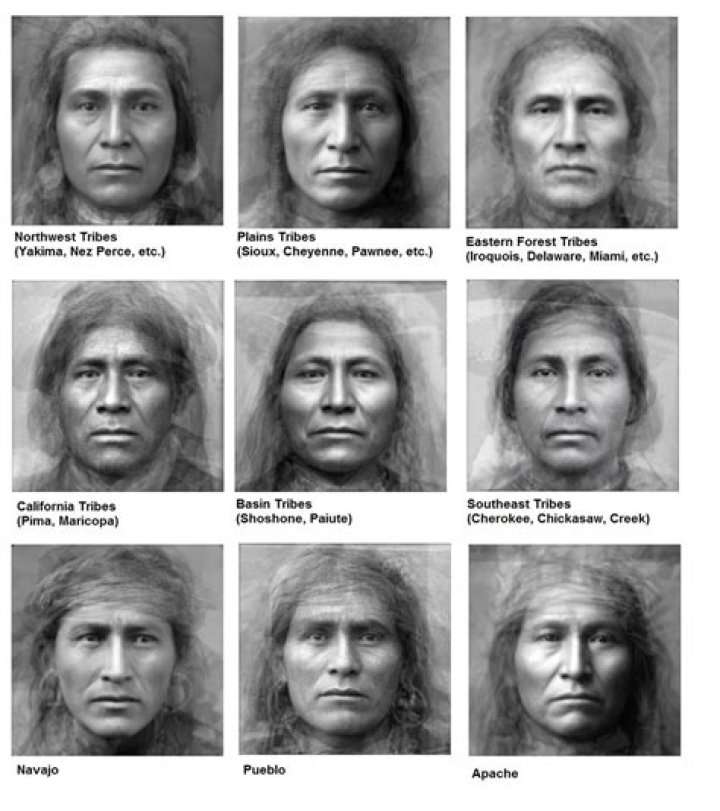 Why do Native American not have facial hair?