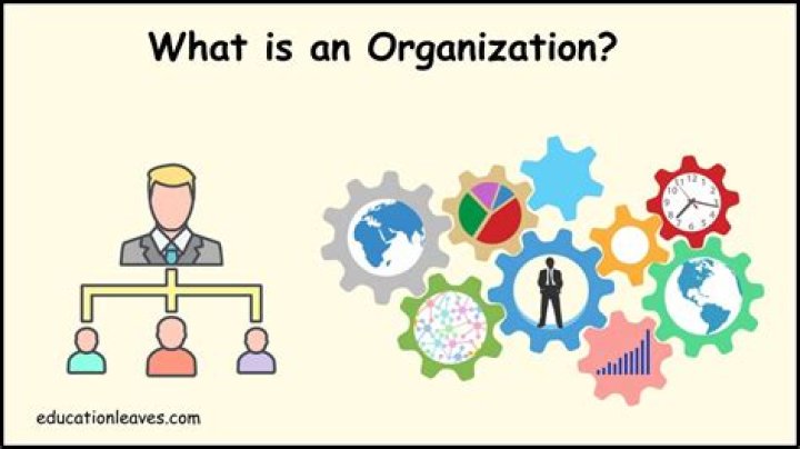 Why do Organisations need information?